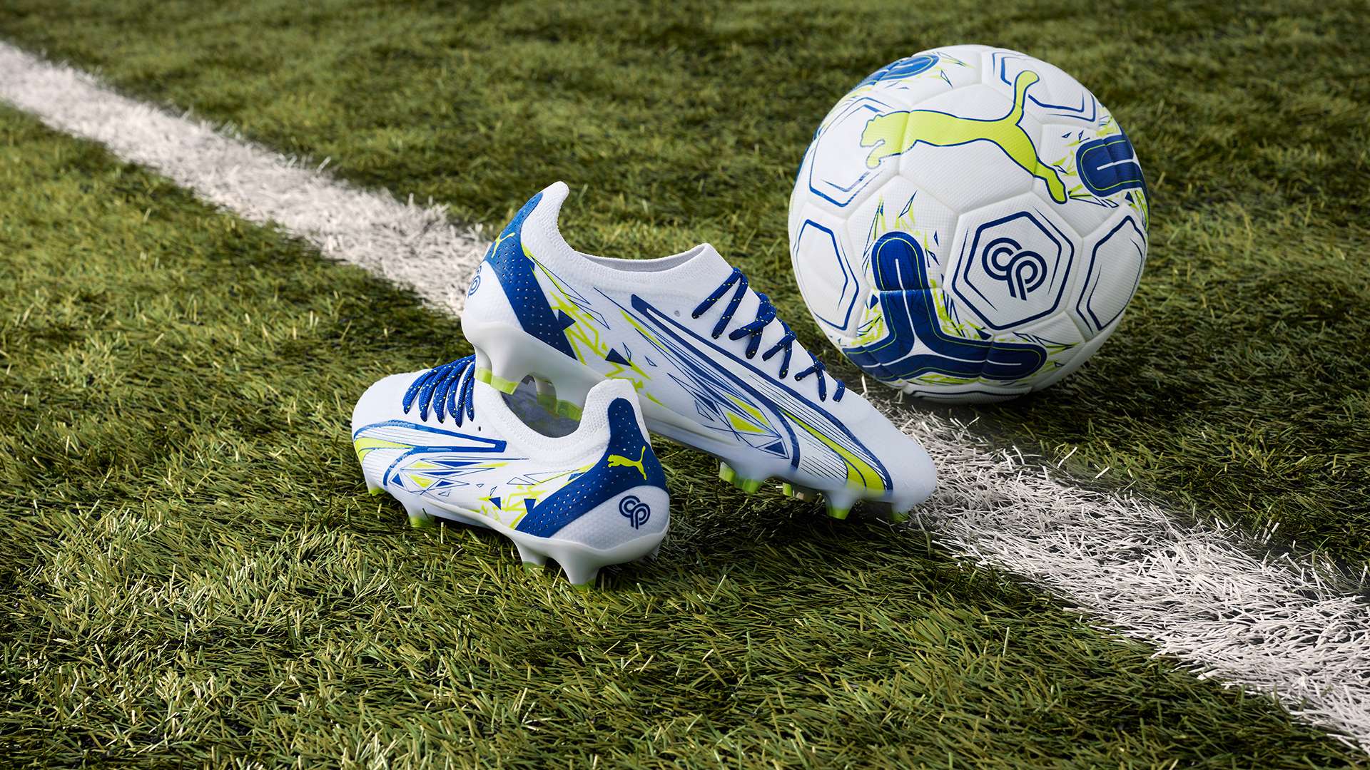 他在这两者 他在这两者