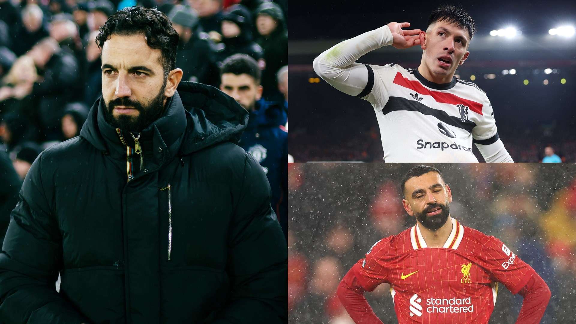 大利亚队展 大利亚队展